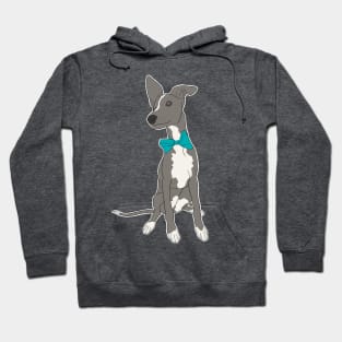 Cute Grey Italian Greyhound with bright teal bow Hoodie